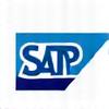 SAP ERP Logo